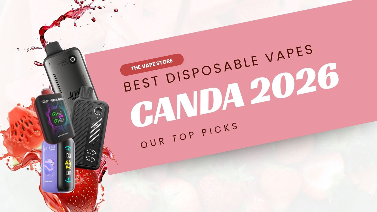 best vapes canada Disposable in 2026: Our Top Picks – The Vape Store Buy Flum Float Icy Caliburn Explorer Size:2ml 50 units |$4.5 each
